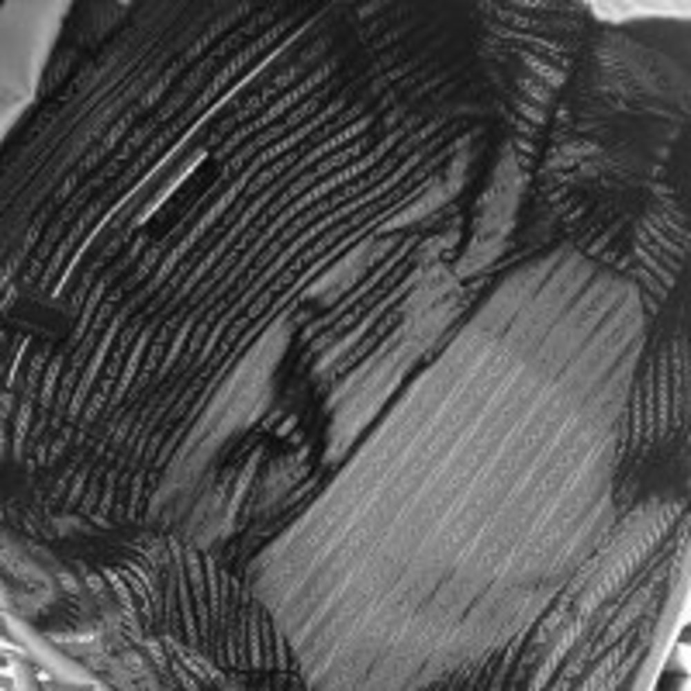 Prada Triangle Daypack Rucksack Backpack Vitello … - image 5